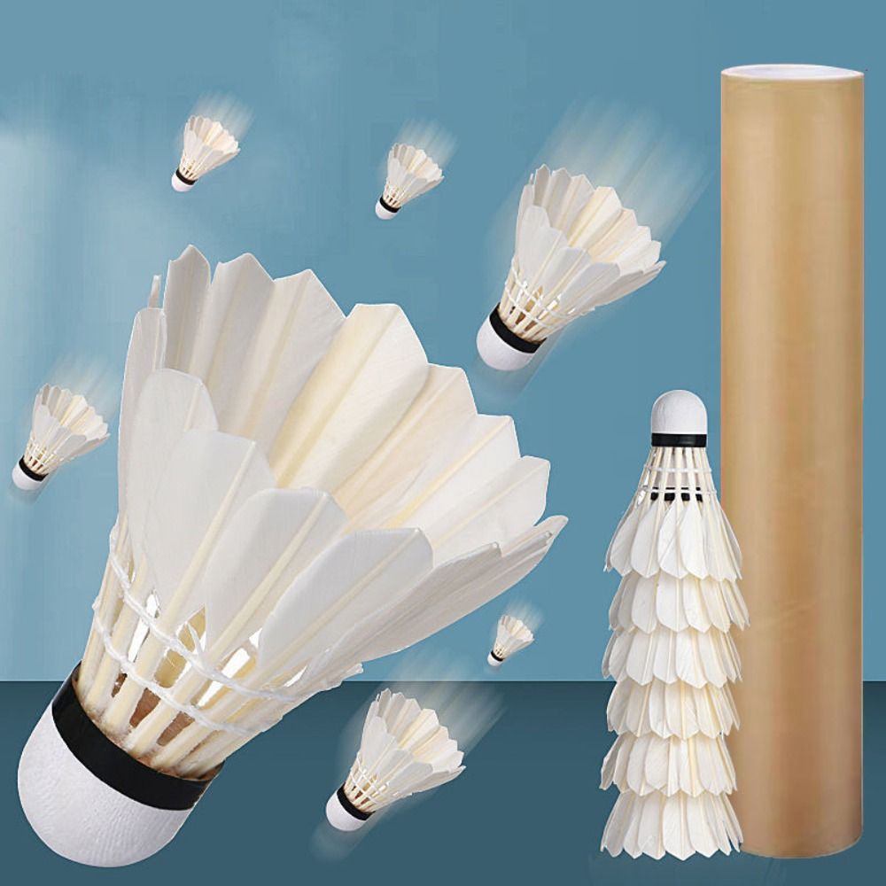 12Pcs Professional White Goose - đánh giá và giá Feather Shuttlecock